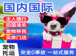 兴义万峰林航空快递国际宠物托运 【国